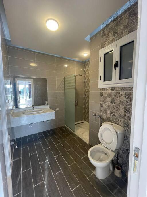Royal Nile Villa - Nile View Apartment 1 الأقصر المظهر الخارجي الصورة