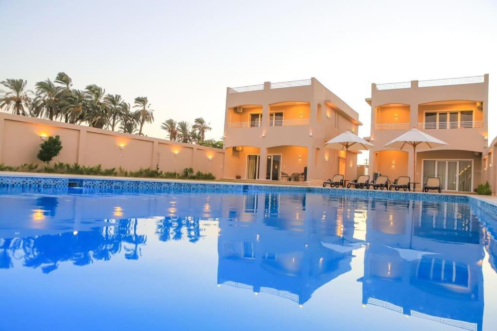 Royal Nile Villa - Nile View Apartment 1 الأقصر المظهر الخارجي الصورة