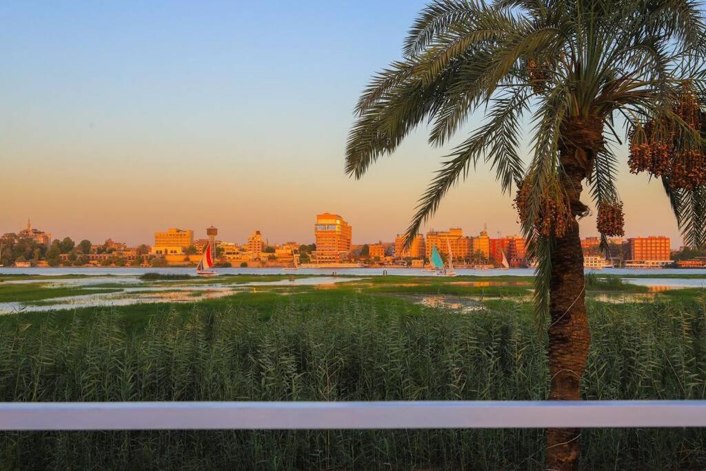 Royal Nile Villa - Nile View Apartment 1 الأقصر المظهر الخارجي الصورة
