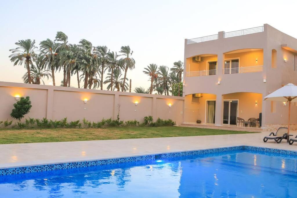 Royal Nile Villa - Nile View Apartment 1 الأقصر المظهر الخارجي الصورة