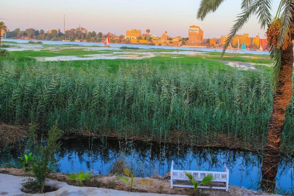 Royal Nile Villa - Nile View Apartment 1 الأقصر المظهر الخارجي الصورة